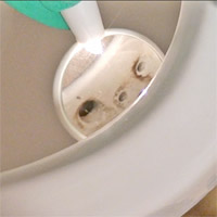Restoom fixture cleaning detail