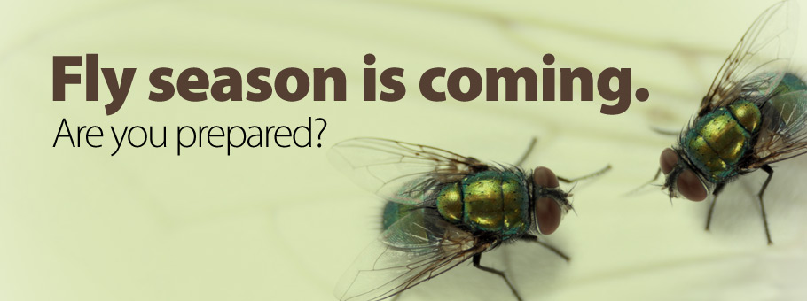 Fly Control Services