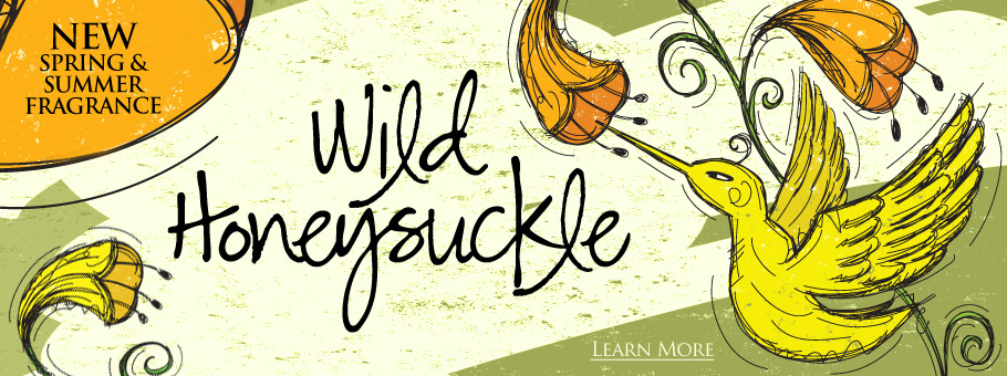 Wild Honeysuckle for Spring and Summer