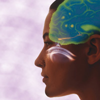 Nose / brain profile image