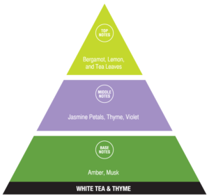 White Tea and Thyme (calming fragrances)