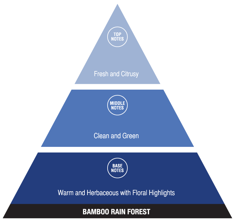 Bamboo Rainforest (fresh fragrances)