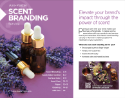 Aire-Master Scent Branding catalog cover