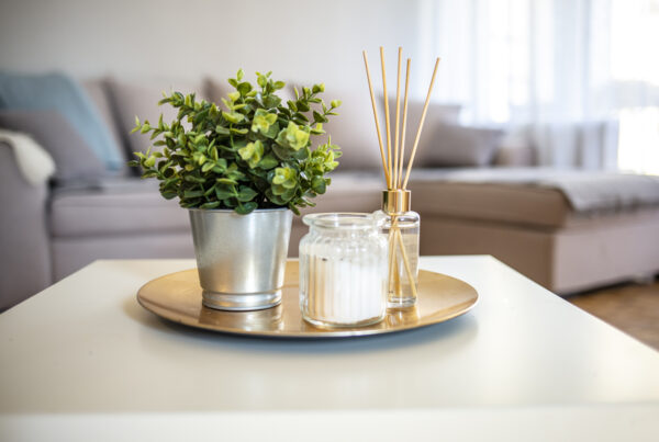 Liquid hotel fragrance in aroma sticks with glass bottle closeup. Aroma diffuser with wooden sticks. Hotel fragrance in sticks