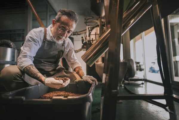 Asian chinese senior man craftsperson examining roasted coffee bean de-stoning stone removal process after spinning out from cooling process in his factory