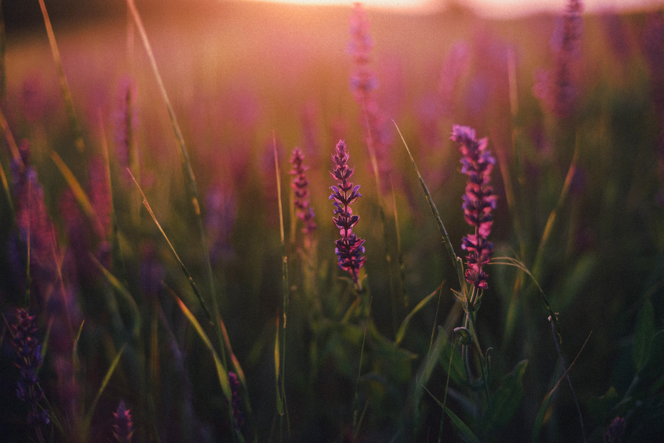 How to Choose the Right Fragrance for Your Business Environment