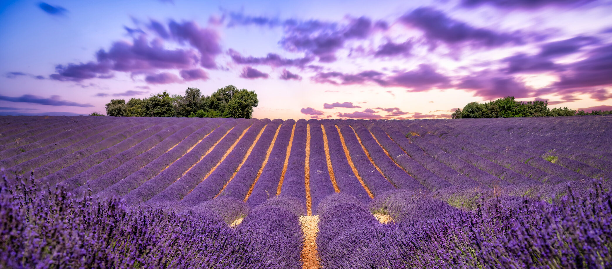 Top 7 Mistakes Businesses Make with Scent Marketing (and How to Avoid Them)
